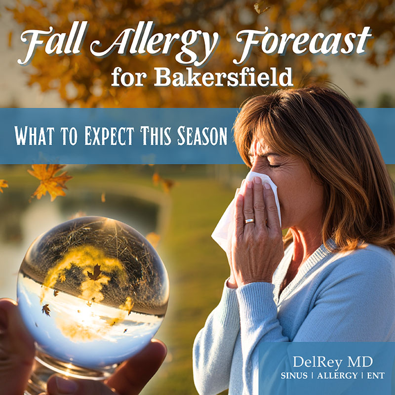 del rey fall allergy forecast